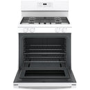 GE 30-inch Freestanding Gas Range with Precise Simmer Burner JGBS61DPWW