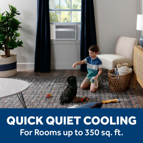 GE 8,000 BTU Smart Electric Window Air Conditioner (AWES08WWF)