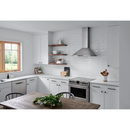 Broan 36" Elite Series Stainless Chimney Range Hood (EWP1366SS) (EWP1366SS)