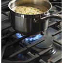 GE Profile 30-inch Free-Standing Gas Range with Convection Technology PGB960EEJESPGB960EEJES