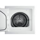 Frigidaire 6.7 cu. ft. Gas Dryer with 10 Dry Cycles FFRG4120SWFFRG4120SW