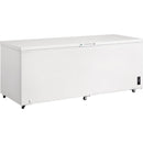 Frigidaire 24.8 cu.ft. Chest Freezer FFCL2542AWFFCL2542AW