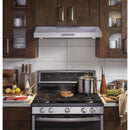 GE Profile 30-inch Freestanding Gas Range with Convection Technology PGB911SEJSS