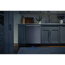 Frigidaire Professional 24-inch Built-In Dishwasher with EvenDry™ FPID2498SF
