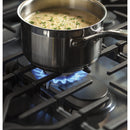 GE Profile 30-inch Free-Standing Gas Range with Convection Technology PGB960BEJTS IMAGE 10