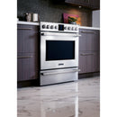 Frigidaire Professional 30-inch Freestanding Gas Range FPGH3077RFFPGH3077RF