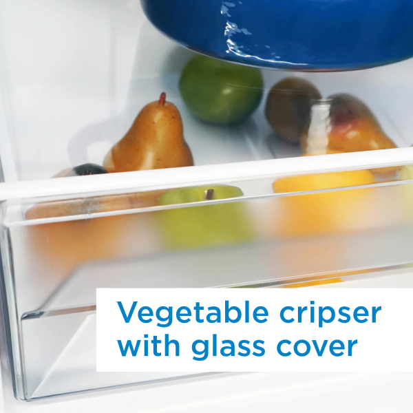 Bottom Mount Refrigerator 10.3 Cu. Ft. (DBMF100B1SLDB)