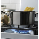GE 30-inch Freestanding Gas Range JGBS66DEKWWJGBS66DEKWW
