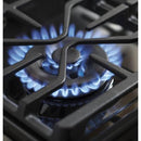 GE Profile 30-inch Freestanding Gas Range PGB940SEJSSPGB940SEJSS