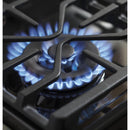 GE Profile 30-inch Freestanding Dual-Fuel Range P2B940SEJSSP2B940SEJSS