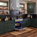 Thor Kitchen 36-inch Professional Electric Range HRE3601HRE3601