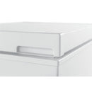 Frigidaire 8.7 cu. ft. Chest Freezer FFFC09M1RWFFFC09M1RW