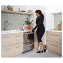 Caf? 24-inch, Built-in Dishwasher (Stainless Steel/Brushed Stainless) CDD420P2TS1 (CDD420P2TS1)