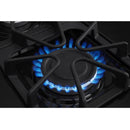 Amana 30-inch Freestanding Gas Range AGR6603SMSAGR6603SMS